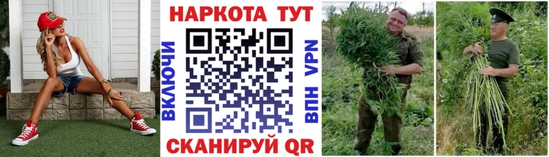 Где найти наркотики Прохладный Каннабис  ТГК  A-PVP  БУТИРАТ  Мефедрон  КОКАИН 