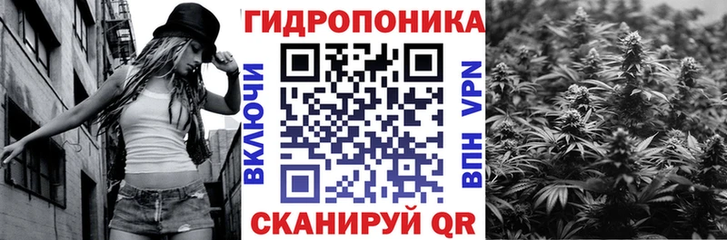 Каннабис VHQ  купить наркотик  Прохладный 